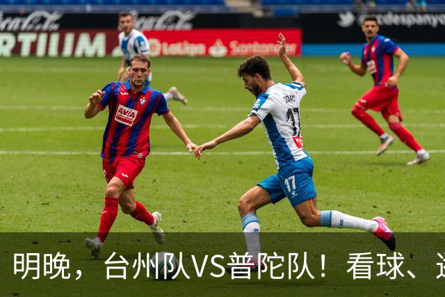 明晚，台州队VS普陀队！看球、逛市集，场内场外都精彩